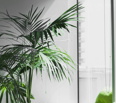 From the Ground Up: PRORIL's Commitment to Sustainable Practices