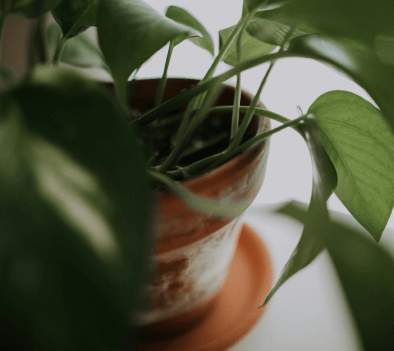 From the Ground Up: PRORIL's Commitment to Sustainable Practices