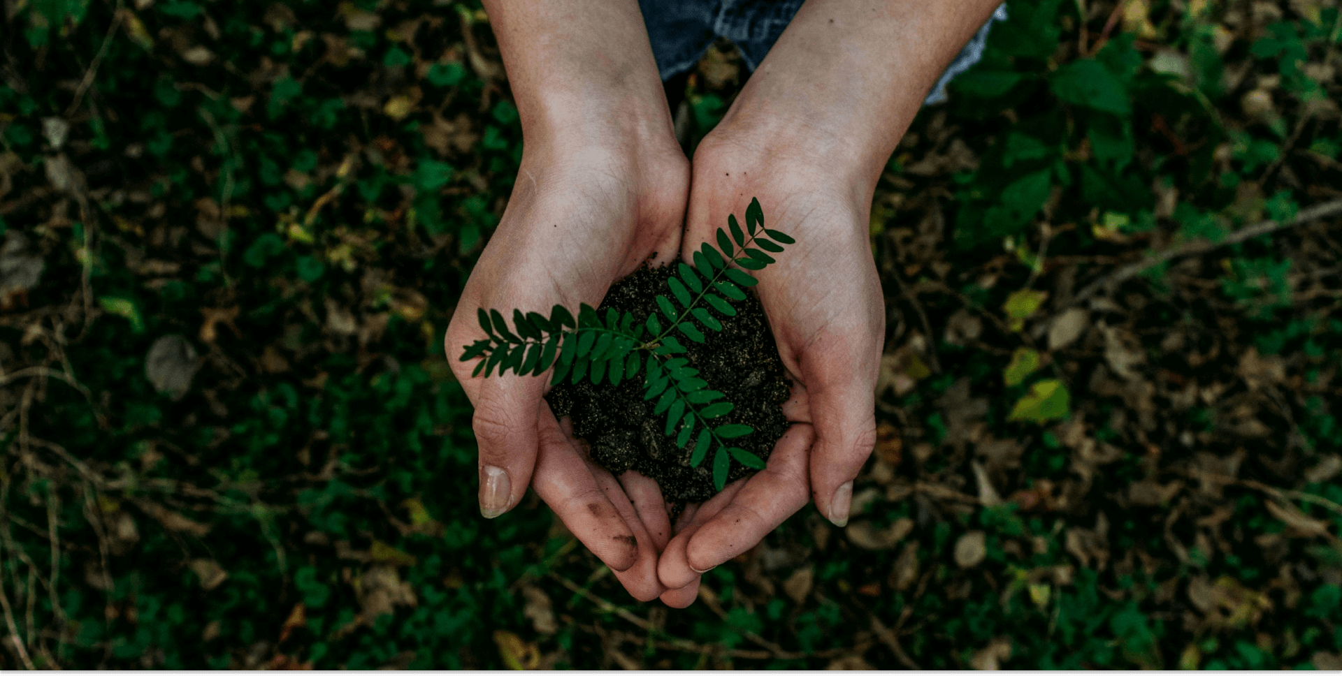 PRORIL's Commitment to SDGs