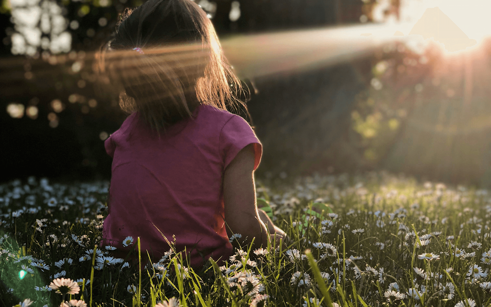 Build a solid foundation for a beautiful world