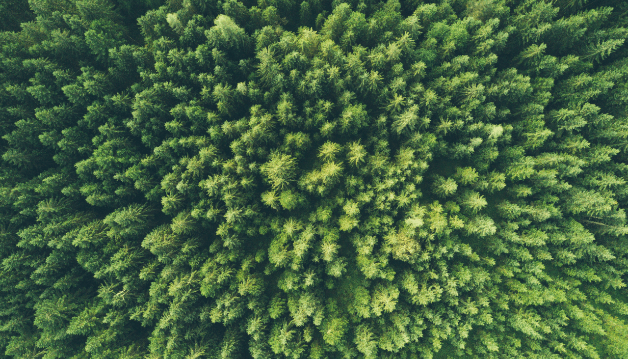 Environmental Sustainability