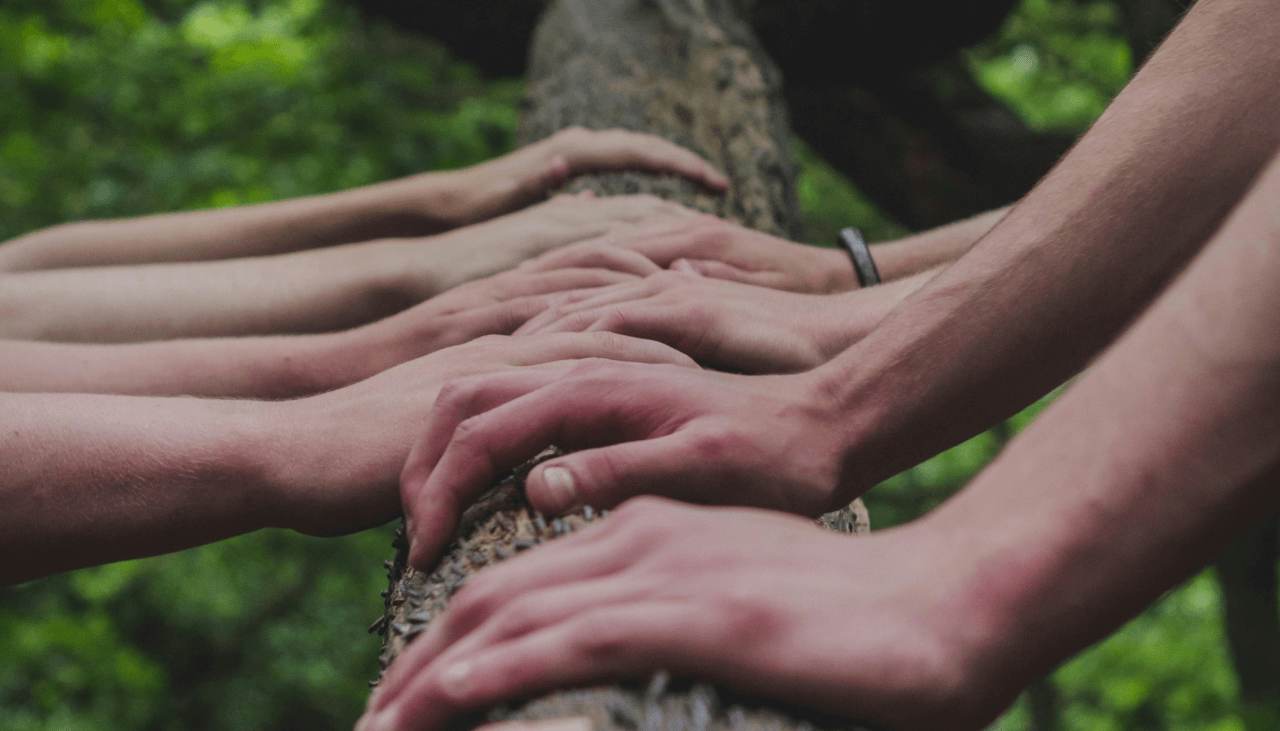 Social Inclusion