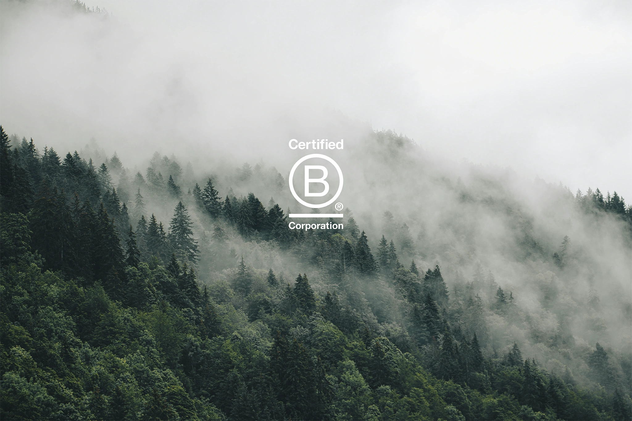 Sustainability